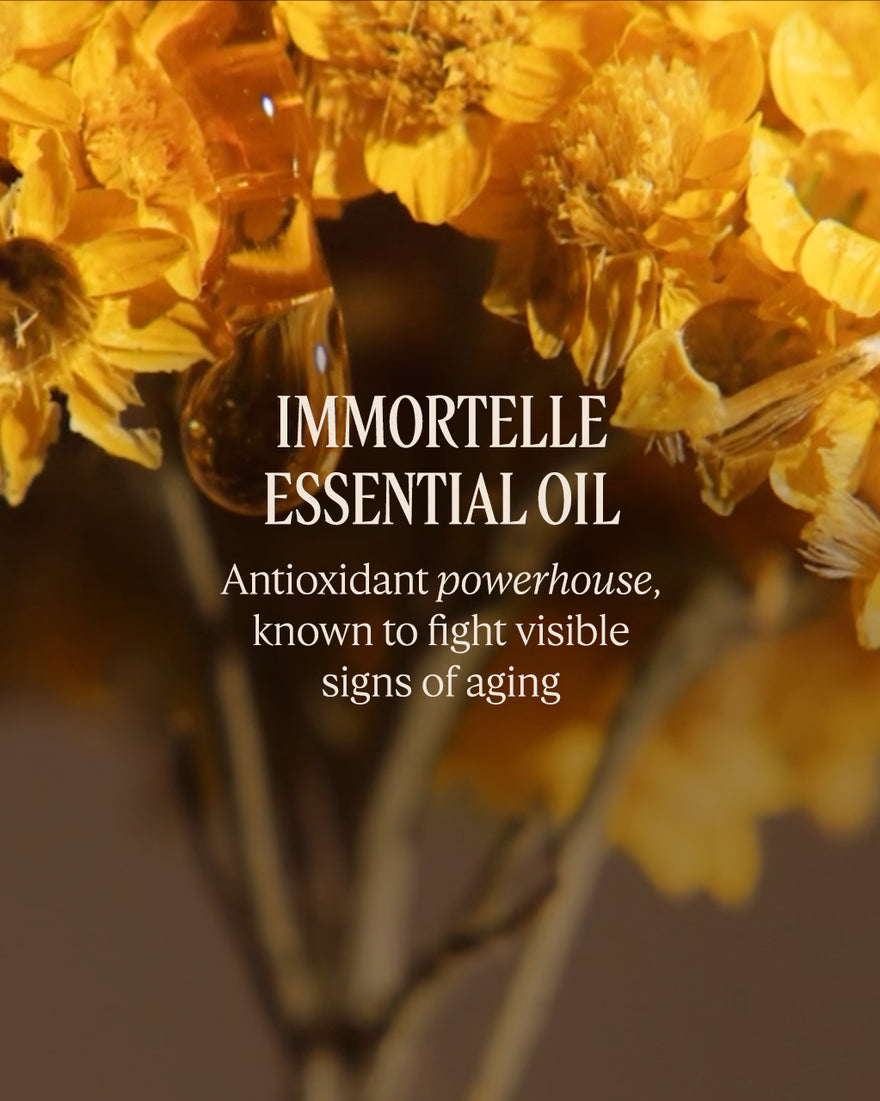 IMMORTELLE RESET PRÉCIEUSE - gallery 3