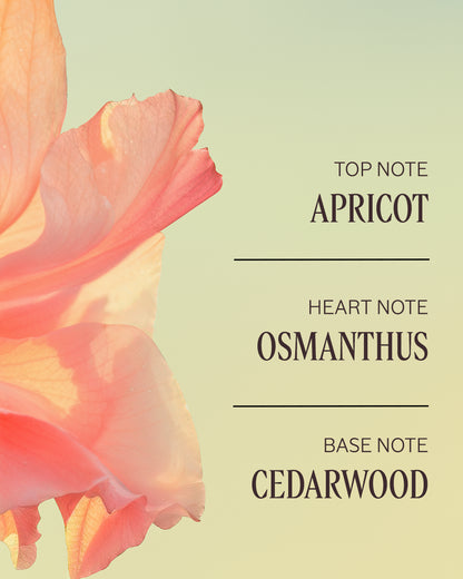OSMANTHUS ABRICOT PERFUMED BODY LOTION - gallery 3