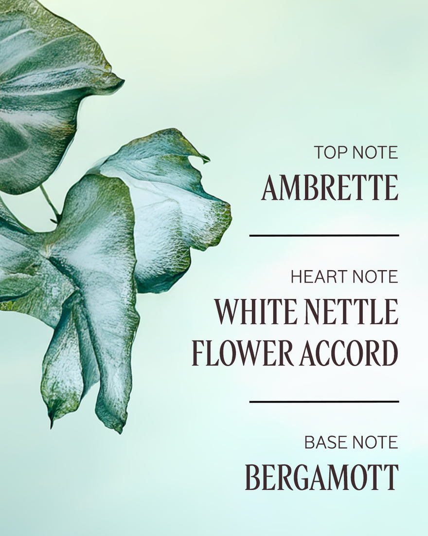 ORTIE BLANCHE (FORMERLY HERBAE) PERFUMED BODY LOTION - gallery 3