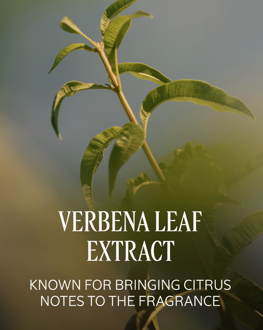 VERBENA EAU DE TOILETTE - gallery 3
