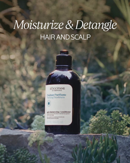 PURIFYING FRESHNESS CONDITIONER - gallery 4