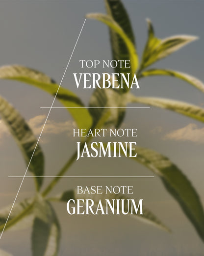 VERBENA EAU DE TOILETTE - gallery 4