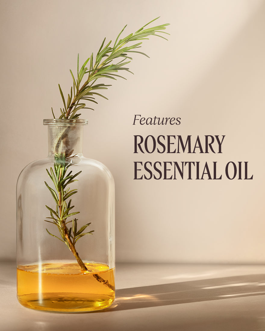 PRO-DENSITY + ADVANCED SCALP TREATMENT - gallery 4