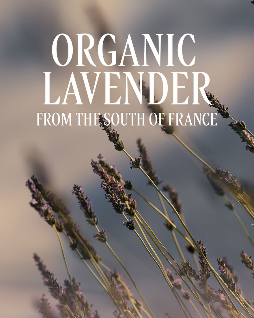 LAVANDE (LAVENDER) BUBBLE BATH - gallery 5