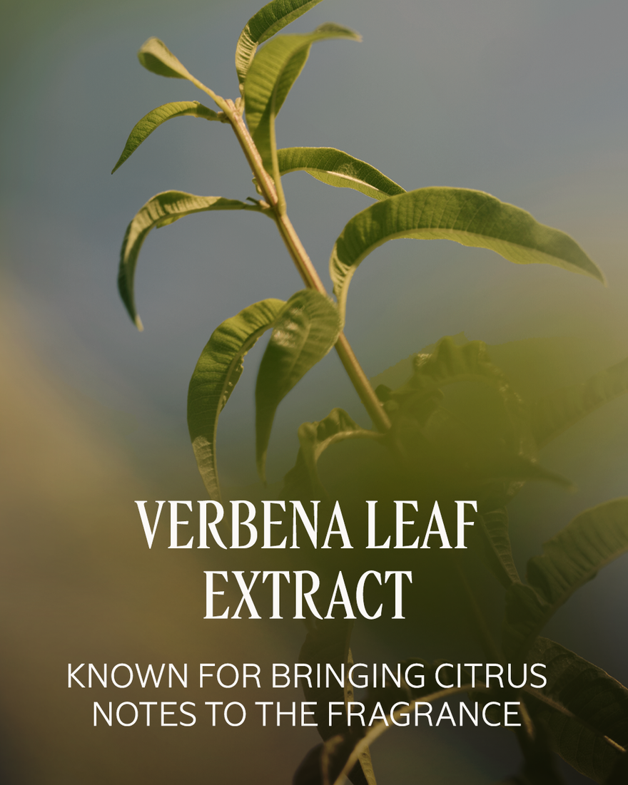VERBENA PERFUMED HAND CREAM - gallery 5
