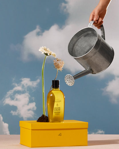 BEST OF L'OCCITANE - gallery 5