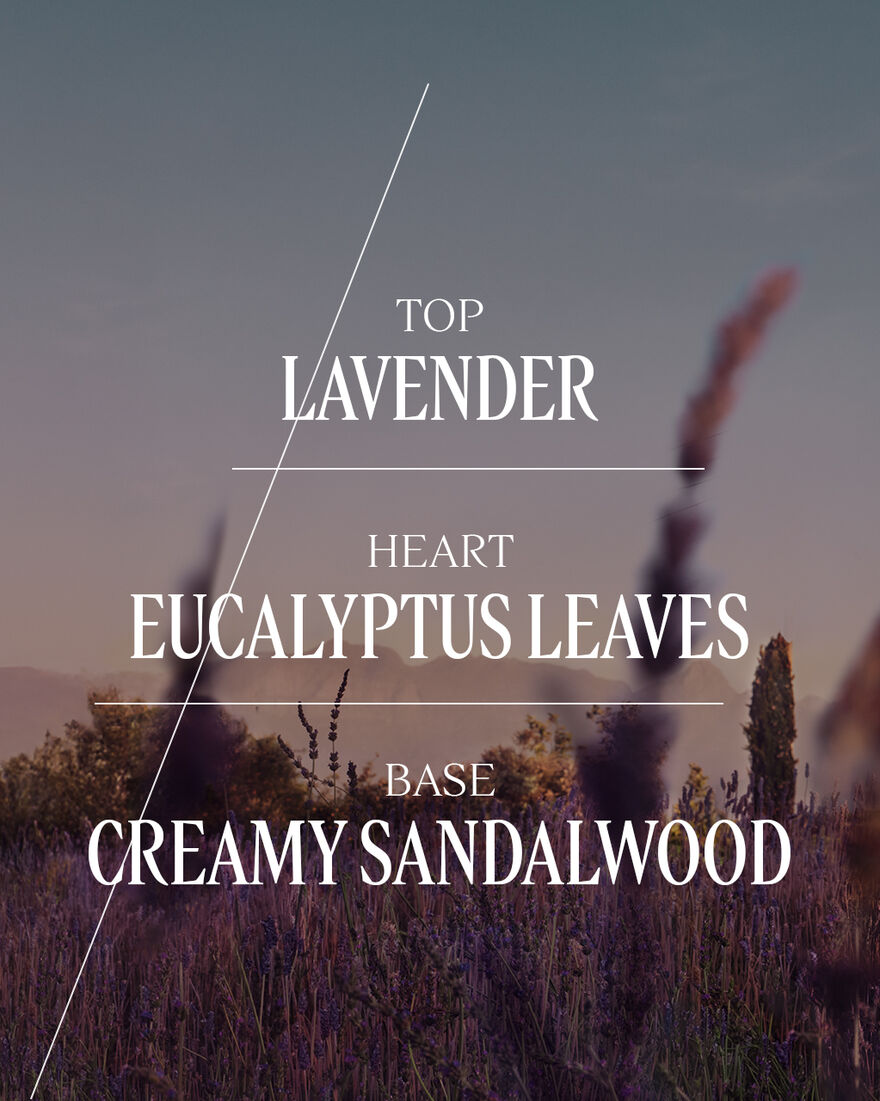 LAVANDE (LAVENDER) BUBBLE BATH - gallery 6
