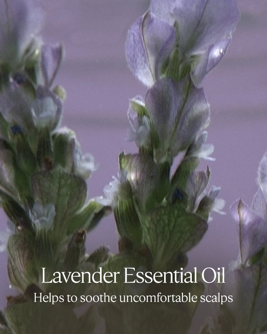 GENTLE & BALANCE CONDITIONER REFILL - gallery 6