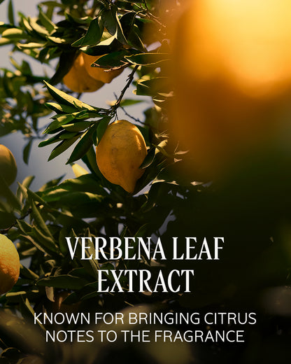 CITRUS VERBENA EAU DE TOILETTE - gallery 6