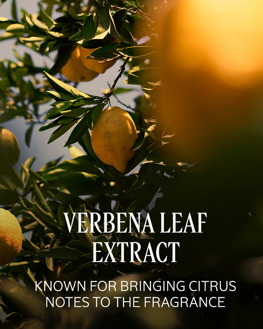 CITRUS VERBENA STICK DEODORANT REFILL - gallery 8