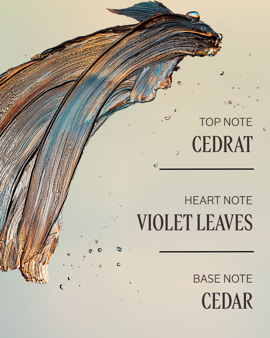 CÉDRE GINGEMBRE (FORMERLY CAP CEDRAT) PERFUMED SHOWER GEL - gallery 8