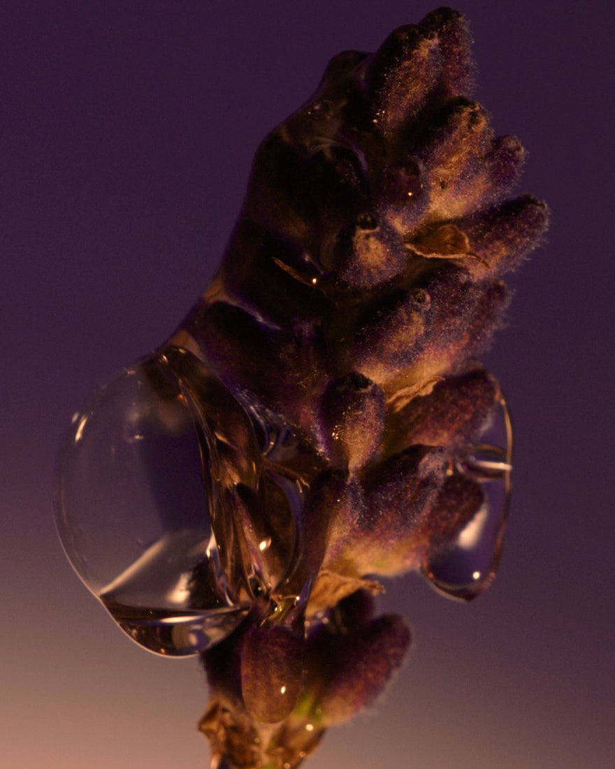 LAVENDER SHOWER GEL - gallery 8
