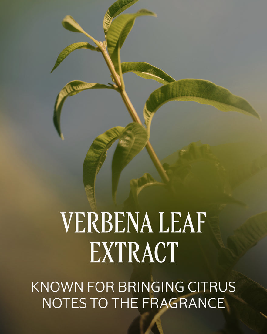 VERBENA PERFUMED SHOWER GEL - gallery 10