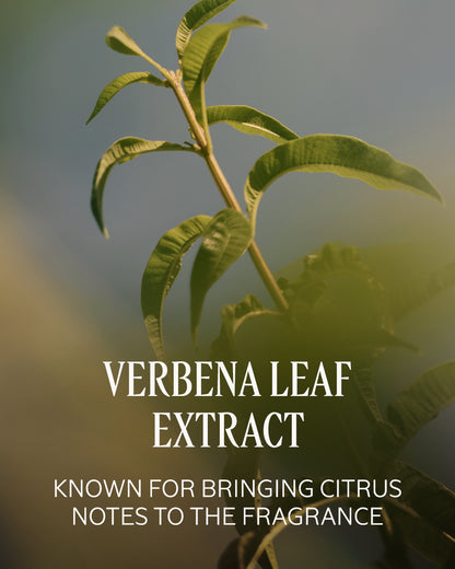 VERBENA PERFUMED SHOWER GEL - gallery 10